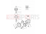 Triumph 1999 THUNDERBIRD SPORT Lubrication System
