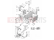 Triumph 1993 SPEED TRIPLE (CARBS) Cooling system