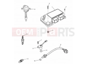 Engine Management System - Triumph SPEED TRIPLE 141872 > 210444 2003
