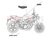 Triumph 2007 SPEED TRIPLE 210445 > 461331 Bodywork Decals 333179