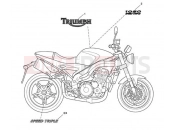 Triumph 2007 SPEED TRIPLE 210445 > 461331 Bodywork Decals 333178