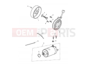 TRIUMPH SPEED TRIPLE R > 735336 Starter & Alternator