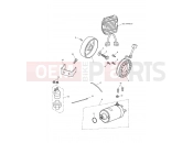 Triumph 2020 Speed Triple S Starter & Alternator