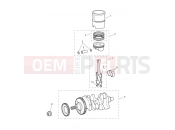 Crankshaft, Connecting Rods... - Triumph SPEED TRIPLE RS - 867601 > 2019