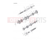 Triumph 2002 SPEED FOUR Transmission