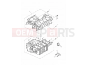 Triumph 2004 SPEED FOUR Crankcases