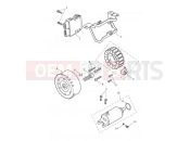 Triumph 2021 TRIDENT 660 Alternator & Starter