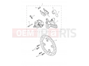 Triumph 2021 TRIDENT 660 Rear Brake Caliper & Disc
