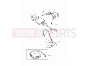 Triumph 1996 SPRINT CARBS Ignition System