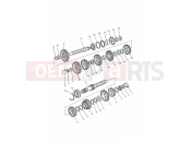 Transmission - Triumph SPRINT CARBS 1998