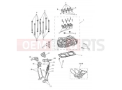 Triumph 2021 BONNEVILLE T100 Cylinder Head & Valves