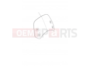 Triumph 2021 BONNEVILLE T100 Screen, Short, Painted