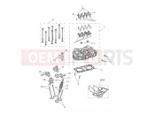Triumph 2021 STREET SCRAMBLER Cylinder Head & Valves
