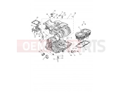 Triumph 2020 SCRAMBLER 1200 XC Crankcase & Fittings