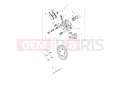 Rear Brake & Disc - Triumph Tiger 800 > 674841 TIGER 800 2013