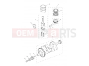 Crankshaft, Connecting Rods... - Triumph Tiger 800 > 674841 TIGER 800 2013