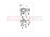 TRIUMPH TIGER 900 GT Sliding Carriage Kit