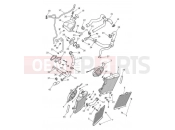 Triumph 2020 TIGER 900 Rally Cooling System