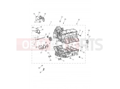 Triumph 2018 TIGER 1200 XCA Crankcase & Fittings