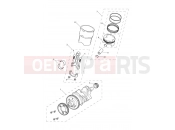 Triumph 2021 TIGER 1200 XR Crankshaft, Connecting Rods...