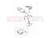 Triumph 1995 TROPHY > 29155 Ignition System