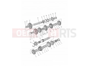 Triumph 1995 TROPHY > 29155 Transmission