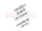 Triumph 2010 SCRAMBLER EFI Transmission