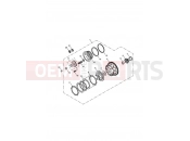 Triumph 2000 TT600 Clutch