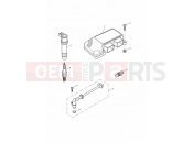 Triumph 2002 TT600 Engine Management System