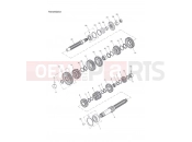 Triumph 2003 TT600 Transmission
