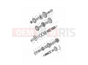 Triumph 2014 THRUXTON 900 EFI Transmission
