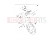 Triumph 2009 THRUXTON 900 EFI Rear Brake Caliper & Disc