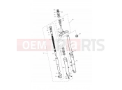 TRIUMPH THRUXTON 900 EFI Front Forks & Lower Yoke