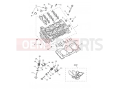 Triumph 2021 SPEED TRIPLE 1200 RS Cylinder Head & Valves