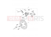Rear Brake & Disc - Triumph Street Triple RS > 966534 2021
