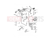 Triumph 2005 AMERICA CARBS Electrical Equipment
