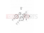 Triumph 2000 TIGER 885i 71699 > 124105 Lubrication System