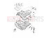 Triumph 2000 TIGER 885i 71699 > 124105 Crankcases
