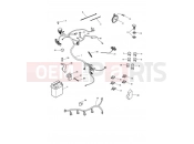 Electrical Equipment - Triumph TIGER 955i 124106 > 198874 2004