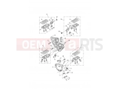 Footrests & Control Plates - Triumph TIGER 955i 124106 > 198874 2004