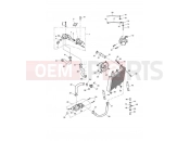 Cooling System - Triumph TIGER 955i 124106 > 198874 2004