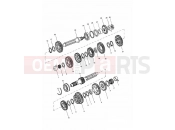 Transmission - Triumph TIGER 955i 124106 > 198874 2004