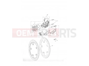 Triumph 2005 TIGER 955i 198875 > Front Brake Caliper & Discs