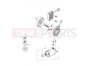 Triumph 2008 Tiger 1050 Starter & Alternator