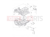 Triumph 2008 Tiger 1050 Crankcase Fixings
