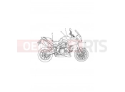 Triumph 2009 Tiger 1050 Decals