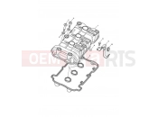 Triumph 2009 Tiger 1050 Cam Cover