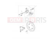 Triumph 2009 Tiger 1050 Rear Brake Caliper & Disc