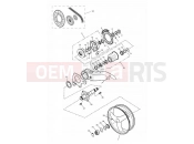 Rear Wheel/Final Drive Single sided swingarm - Triumph DAYTONA 955i 132513 > 2003