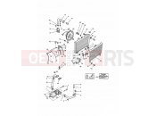 Cooling System 4 Cylinder - Triumph DAYTONA 750/1000 1992